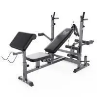 Скамья со стойками под штангу DFC GYRONETICS GN008 с партой для бицепса