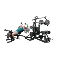 Многофункциональный силовой комплекс Body-Solid SBL460