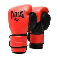 Перчатки тренировочные Everlast Powerlock PU 2 