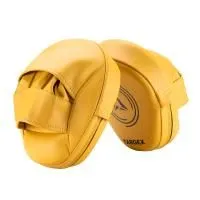 Лапы боксерские TARGEX PRO