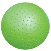 Мяч гимнастический массажный Atemi, AGB0255, 55 см