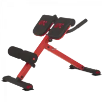 UFC Гиперэкстензия наклонная 45 градусов