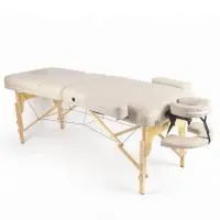 Массажный стол DFC PROFI3 TS312H складной