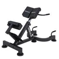 Гиперэкстензия / римский стул DFC MAXXUS