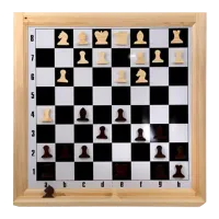 Шахматы настенные демонстрационные (Орлов)