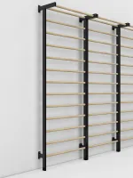 Шведская стенка (металл/береза)