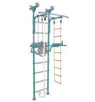 Шведская стенка Midzumi Isami (ментоловый сорбет)