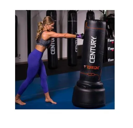 Напольный мешок CENTURY Torrent T1