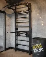 Профессиональная шведская стенка с брусьями и турником Domsen Fitness Ds46 BLACK