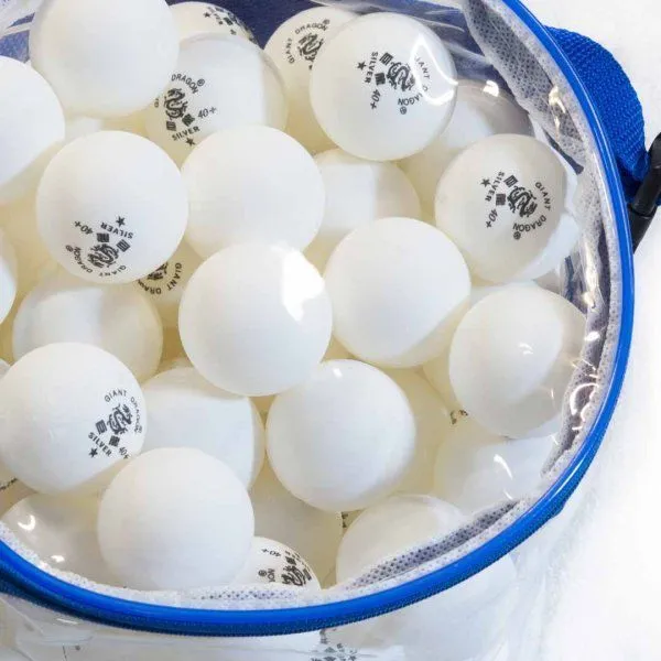 Мячи Dragon Training Silver 1* New (100 шт, бел.)