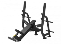Олимпийская скамья для жима под углом Spirit SP-4210