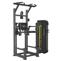 BRONZE GYM BW-3009 Гравитрон