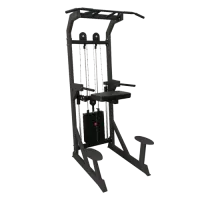 Гравитрон BRONZE GYM BG-AL-701