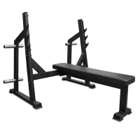 Скамья для жима горизонтальная BRONZE GYM PARTNER AL-304L