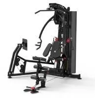 Мультистанция Apex Intense F 800В с жимом ногами