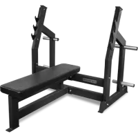 Скамья для жима горизонтальная BRONZE GYM PARTNER AL-304