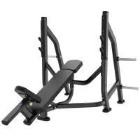 Скамья для жима с положительным углом наклона Protrain LFS147