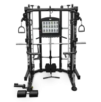 Многофункциональный силовой комплекс нагружаемый дисками профессиональный BRONZE GYM TRUCK