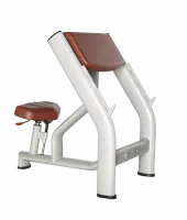 Скамья Скотта BRONZE GYM H-040A (коричневый)