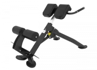 Гиперэкстензия под углом 45 градусов Spirit SP-4220