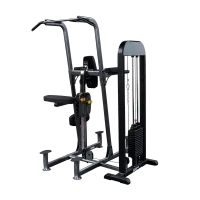 Гравитрон Body-Solid FCD-STK с весовым стеком 95 кг