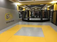 Октагон TARGEX на помосте высотой 0,3 м