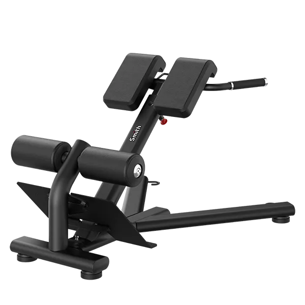 Гиперэкстензия (разгибание спины) Smith RE6010