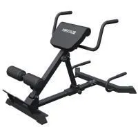 Гиперэкстензия / римский стул DFC MAXXUS GSMX-600417-00019-0001