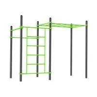 W318 Воркаут (2 перекладины, шведская стенка, рукоход классический) ZAVODSPORTA