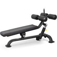 BRONZE GYM BR-1005 Регулируемая скамья для пресса