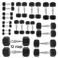 Гантельный ряд DFC от 1 кг до 15 кг