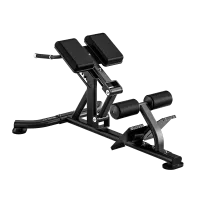 Гиперэкстензия BRONZE GYM RAVE RE52