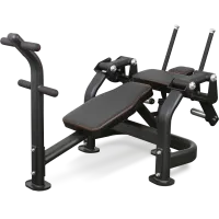 BRONZE GYM PL-1720 Пресс-скамья