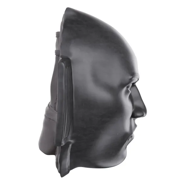 Боксерская лапа DFC Mask-Punching Mitt TLS-J