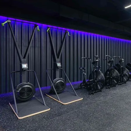 Лыжный тренажер TANGEN X-8820