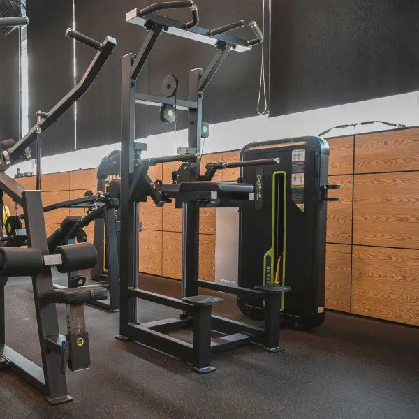 U3009A Турник, брусья с противовесом. Стек 88 кг