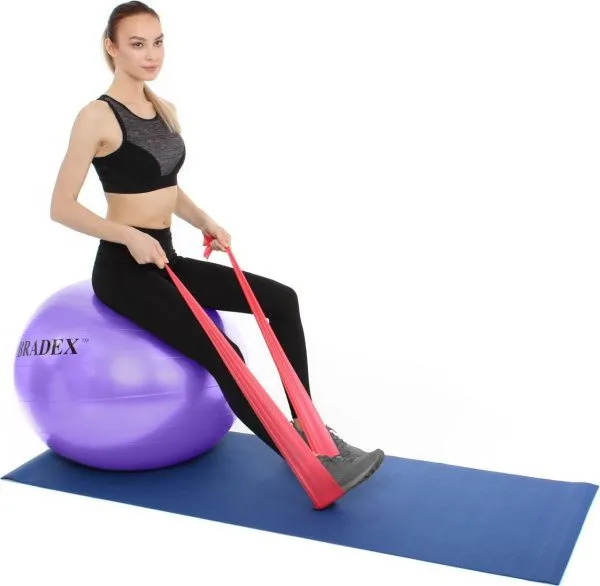 Мяч для фитнеса «ФИТБОЛ-75» Bradex SF 0719 с насосом, фиолетовый