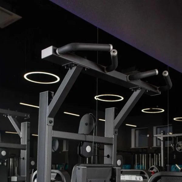 U3009D Турник, брусья с противовесом. Стек 99 кг