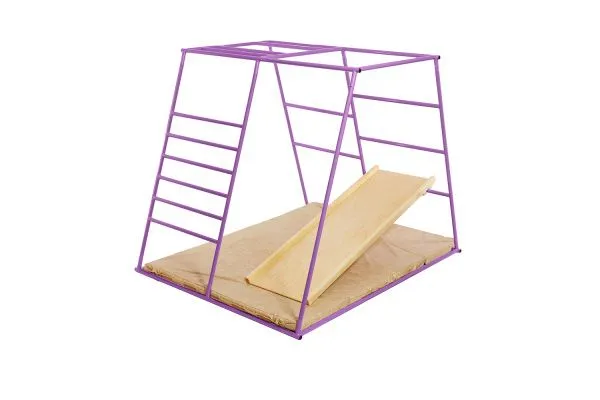 ДСК Ранний старт люкс полная комплектация цветной (фиолетовый)