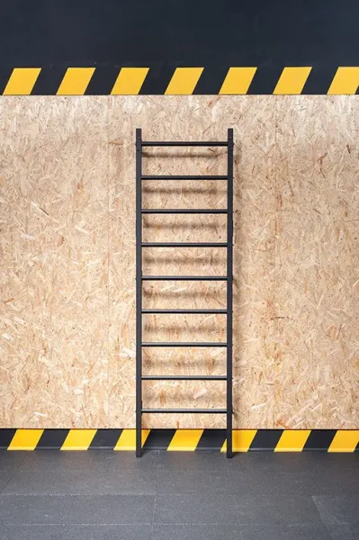 Шведская стенка STECTER