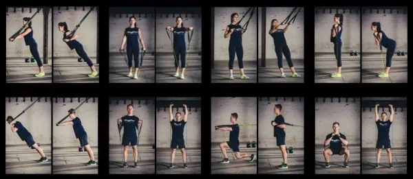 Ременной тренажер Wayflex FTS (Functional Training System)