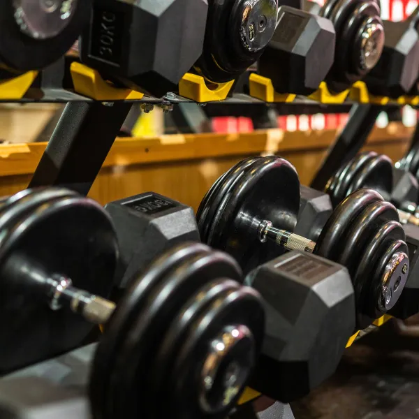 Гантельный ряд BASIC (шаг 2,5 кг, 10 пар) PROFI-FIT 2,5-25 кг*