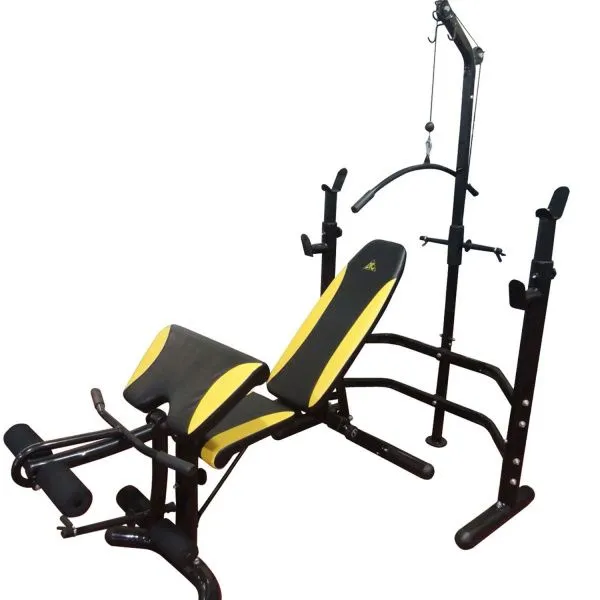 Скамья под штангу DFC D780