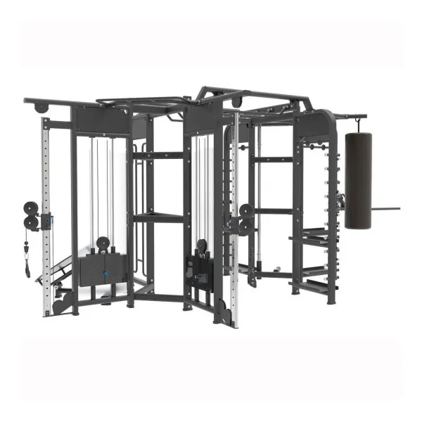 Комплекс для функционального тренинга Protrain FR6