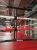 Ринг боксерский TARGEX на помосте высотой 1 м