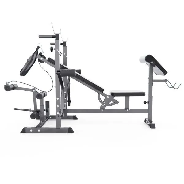 Скамья со стойками под штангу DFC GYRONETICS GN008 с партой для бицепса