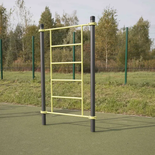 W302 GTO Гимнастический снаряд (шведская стенка) ZAVODSPORTA