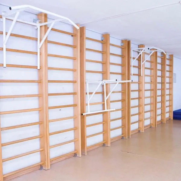 Брусья-турник навесные универсальные на шведскую стенку ZAVODSPORTA