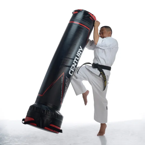 Спортивный тренажер для единоборств Century ARASHI 770