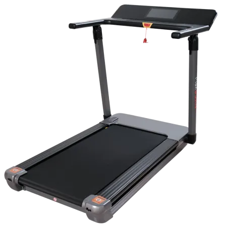 Беговая дорожка Ergonova MaxBurn Pro